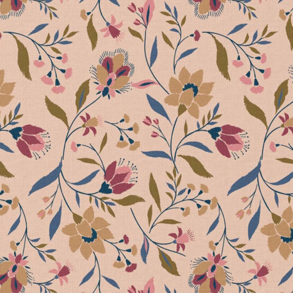 Coton EVELYNE