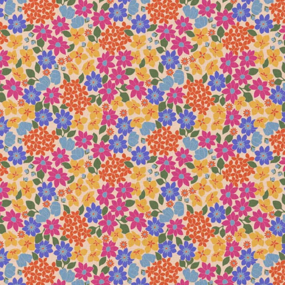 Coton GLADYS